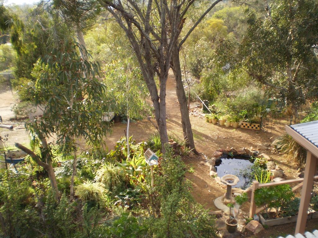 ToodyayFloravalley住宿加早餐旅馆 外观 照片