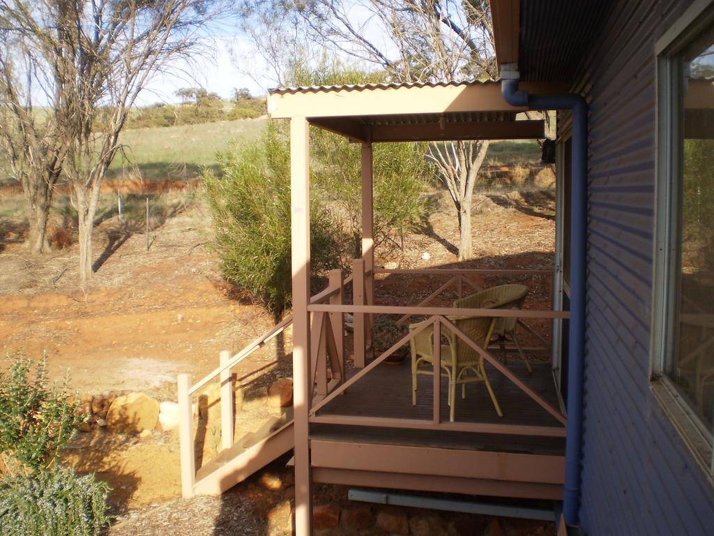 ToodyayFloravalley住宿加早餐旅馆 外观 照片