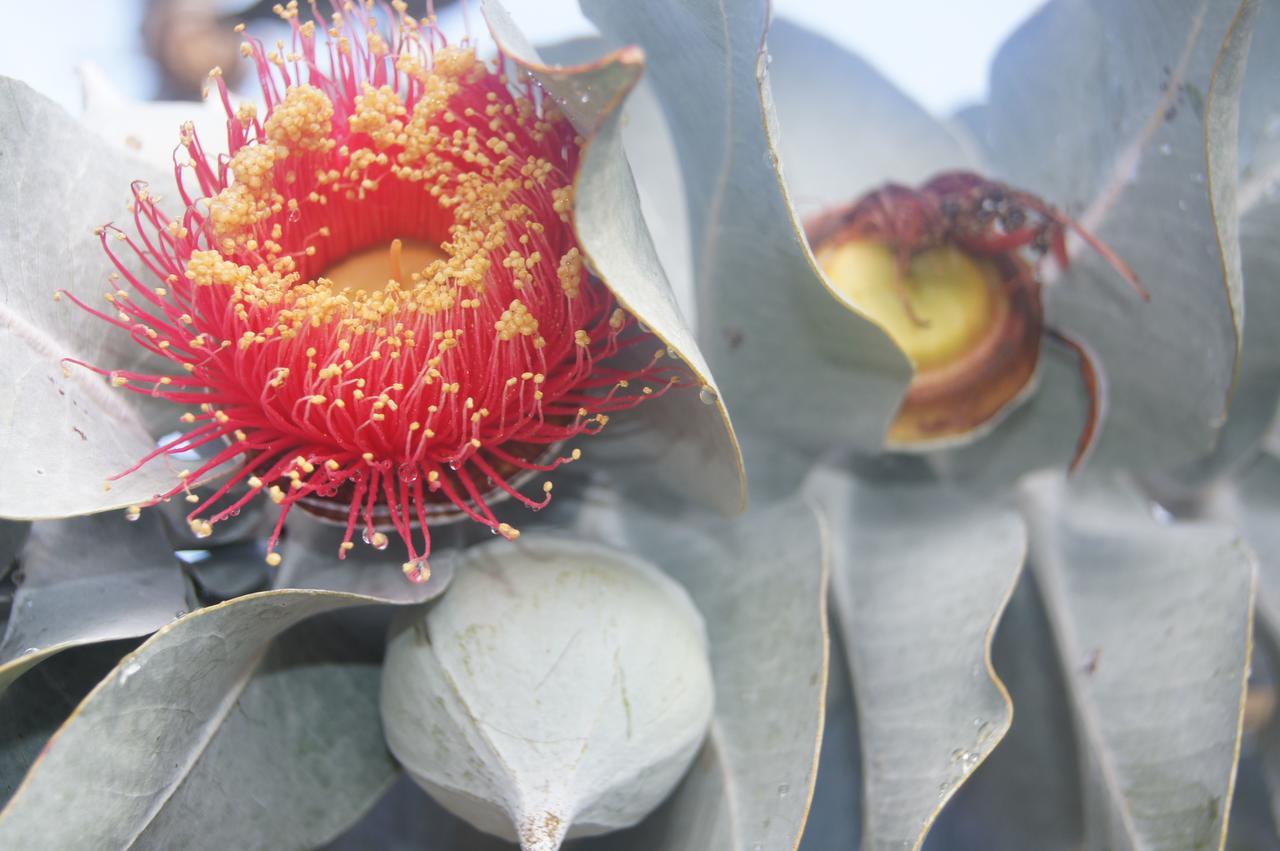 ToodyayFloravalley住宿加早餐旅馆 外观 照片